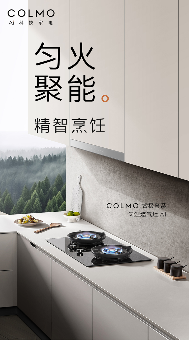 COLMO 嵌入式燃氣灶 月巖灰-雙邊定時 JZT-CYT52-A1